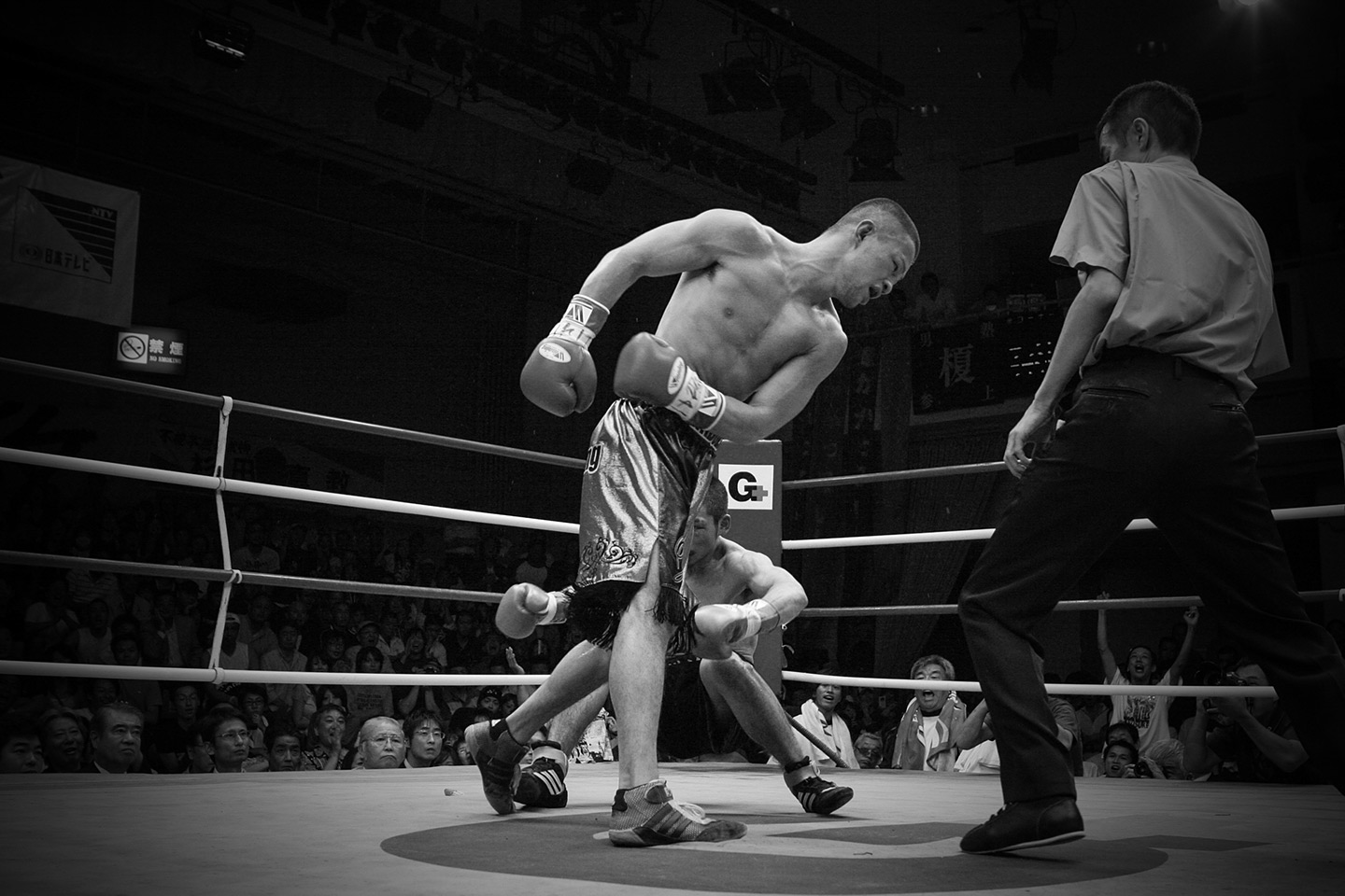 boxing010.jpg