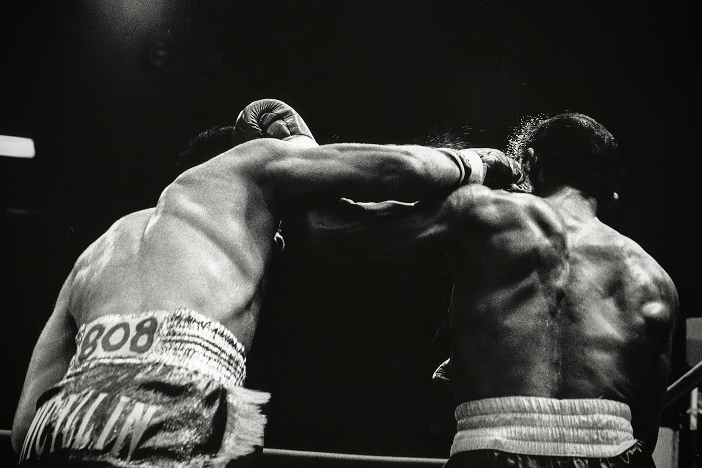 boxing014.jpg