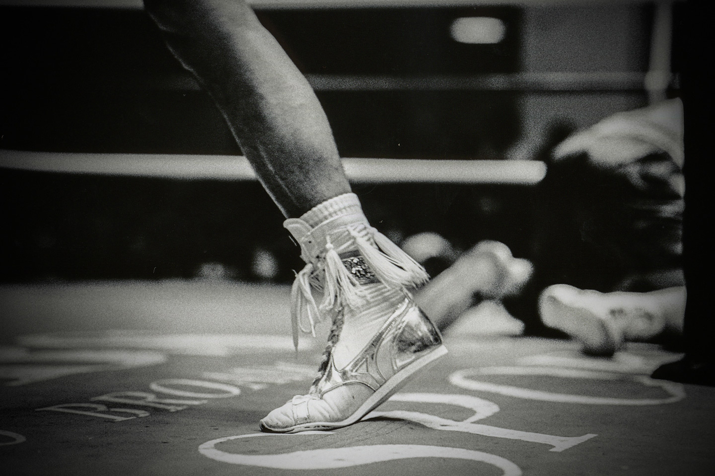 boxing015.jpg